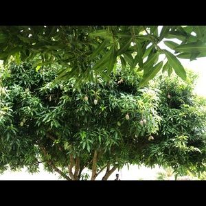 Meet your Posher, Bibi n.